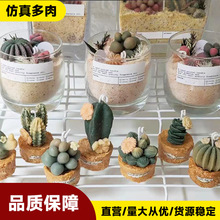 3D多肉香薰蜡烛硅胶模具仙人球仿真绿植香薰石膏慕斯蛋糕模具