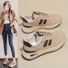 ��ʺ�оW���\��ЬŮ����2026�¿���ٴ��p��ܛ�����e�ܲ�Ь