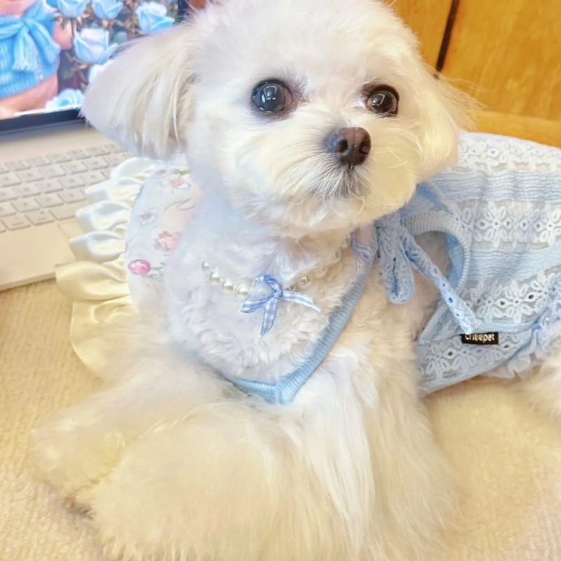 Ropa para perros verano eslingas delgadas para mascotas, lazo retro, eslingas pequeñas, encaje, chaleco lindo para gatos