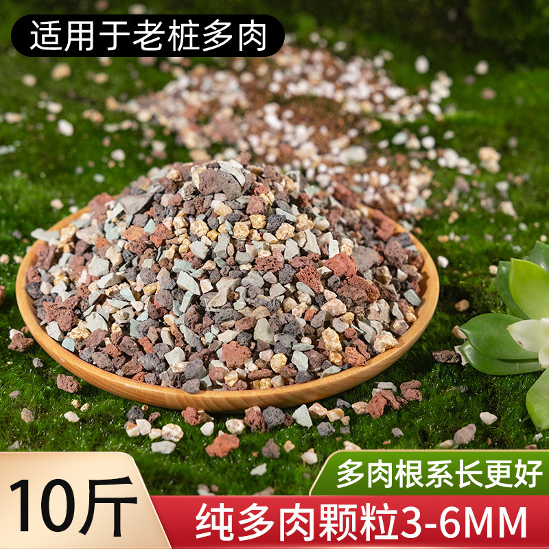 多肉植物粒土、特殊栄養土、医療石、一般花植物多肉植物土、カラフルな小石舗装|undefined