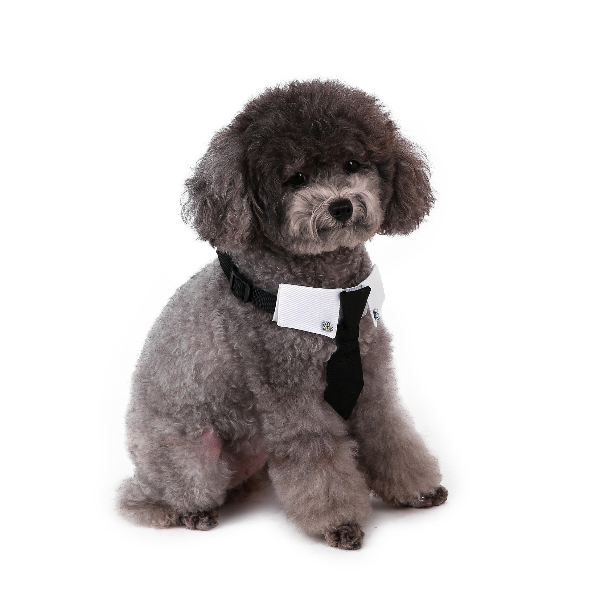 Perro transfronterizo estilo británico guapo traje de boda ropa de perro corbata collar decoración al por mayor
