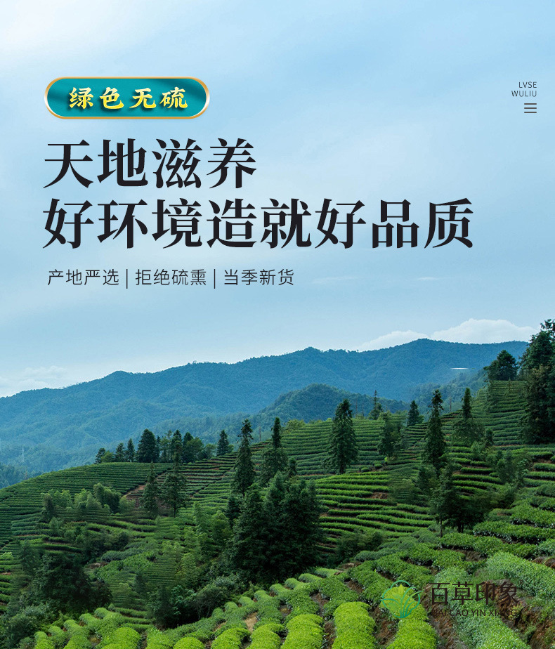 Qian Shi Chi Dou Yi Mi Tea 330g Canister Roasted Euryale Seed Adzuki Bean Coix Seed Herbal Blend Sugar Free quality and texture