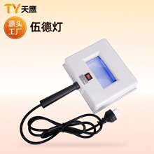 伍德灯家用皮肤检测灯紫外线伍德氏灯宠物检测仪美容仪器厂家跨境