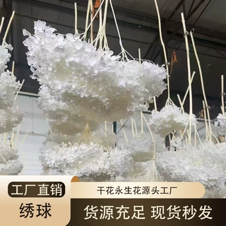 永生花绣球安娜绣球保鲜花批发干花diy花材婚庆手捧花画框材料