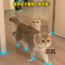 ؈��l��Ь���ﹷ��Ь������ҹ�⃺ͯ���ҹ�g����С����]؈�b��
