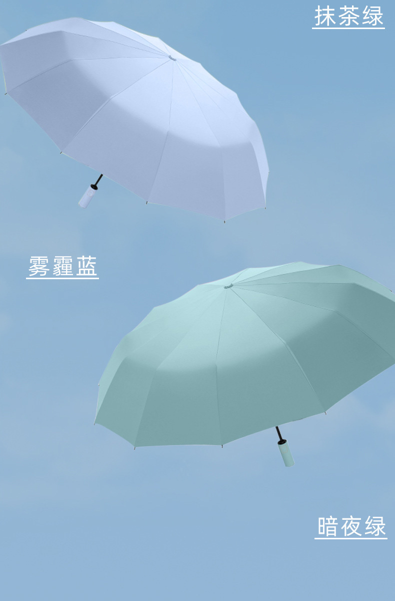 12骨11_09.jpg