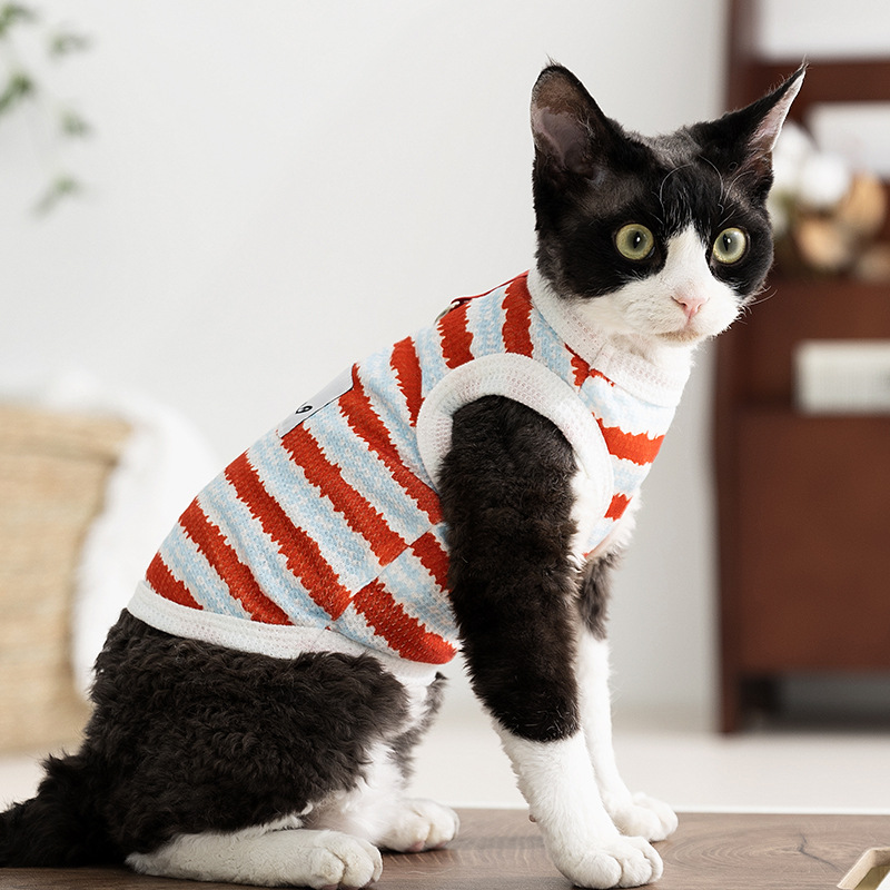 Primavera y verano lindos gatos rayos de dos patas falda sin pelo gato chaleco pareja vestido vestido vestido de gato mascota ropa de gato