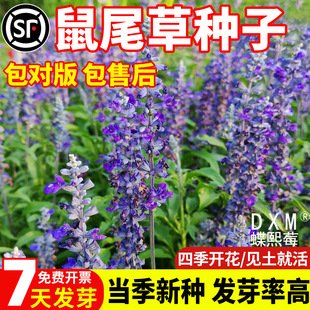 ������β�ݷN���ѻ����ֵ���β���{�����a��β���Ѷ������ͺ����a