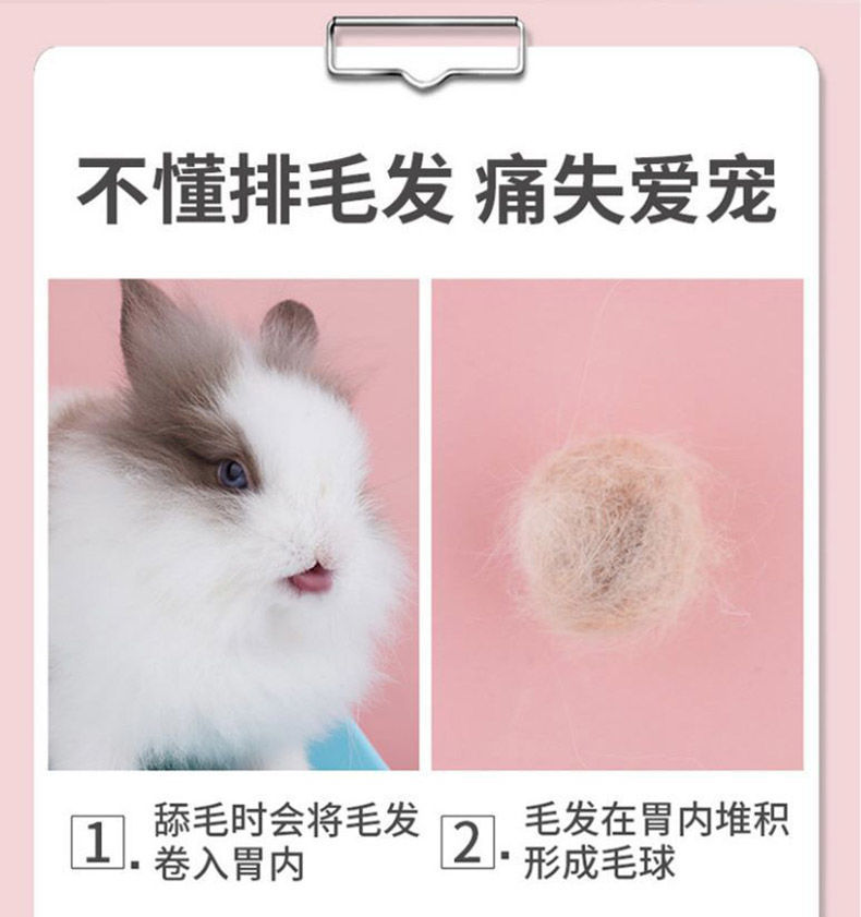 c92dc10b-510b-4567-bb62-86860f135e85.jpe