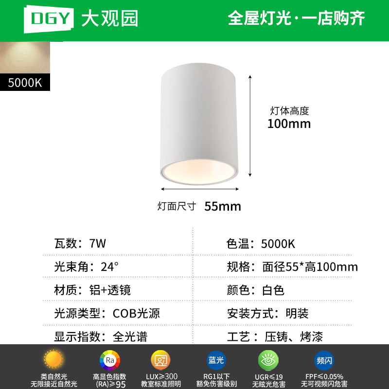 Da Guanyuan lámpara de techo Led Led Light Downlight House Pasillo de la sala de estar sin lámpara principal 495L image 14