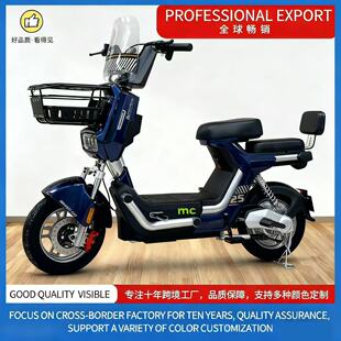 外貿工廠直銷兩輪電動自行車成人代步電瓶車源頭跨境二輪電動車