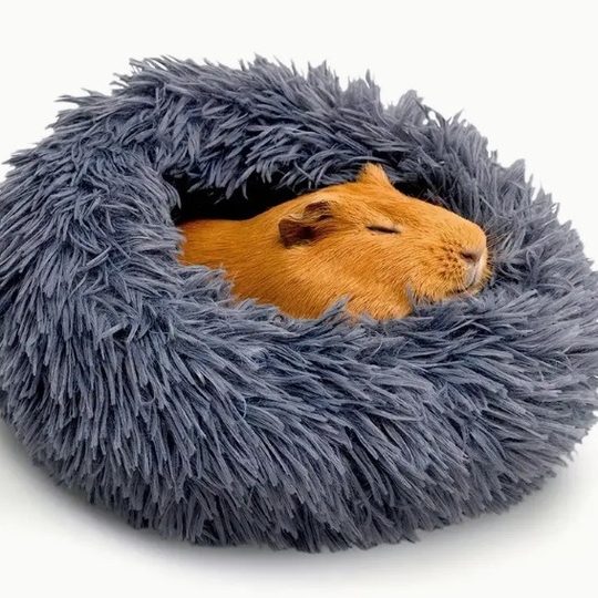 Factory Direct small pet nest honey bag nest Dutch pig winter warm mini nest cage jizai hamster nest