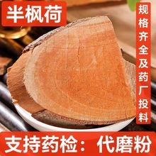 ����� ��ș�� ���R̥ ������ ����� �L���� ֧��ș�z �P����