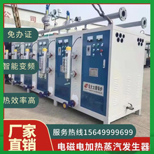 電加熱全自動蒸汽發生器鍋爐 遼寧新民瓦房店普蘭庄河海城東港
