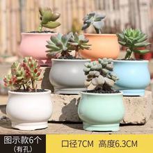 �մ�С���� Ĵָ�Gֲ���� �R����ϵ��ZAKA���⻨�� ����������