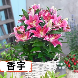 ��ˮ�ٺ����Ԏ����������l؛�V�ݻ���ֱ�N���_�lƱ�DƱͬ�����Ϳ�