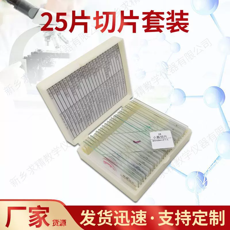 产地货源品质款25片生物切片标本套装玻璃显微镜标本切片套装
