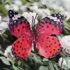 Silk 11CM butterfly-color large size 17