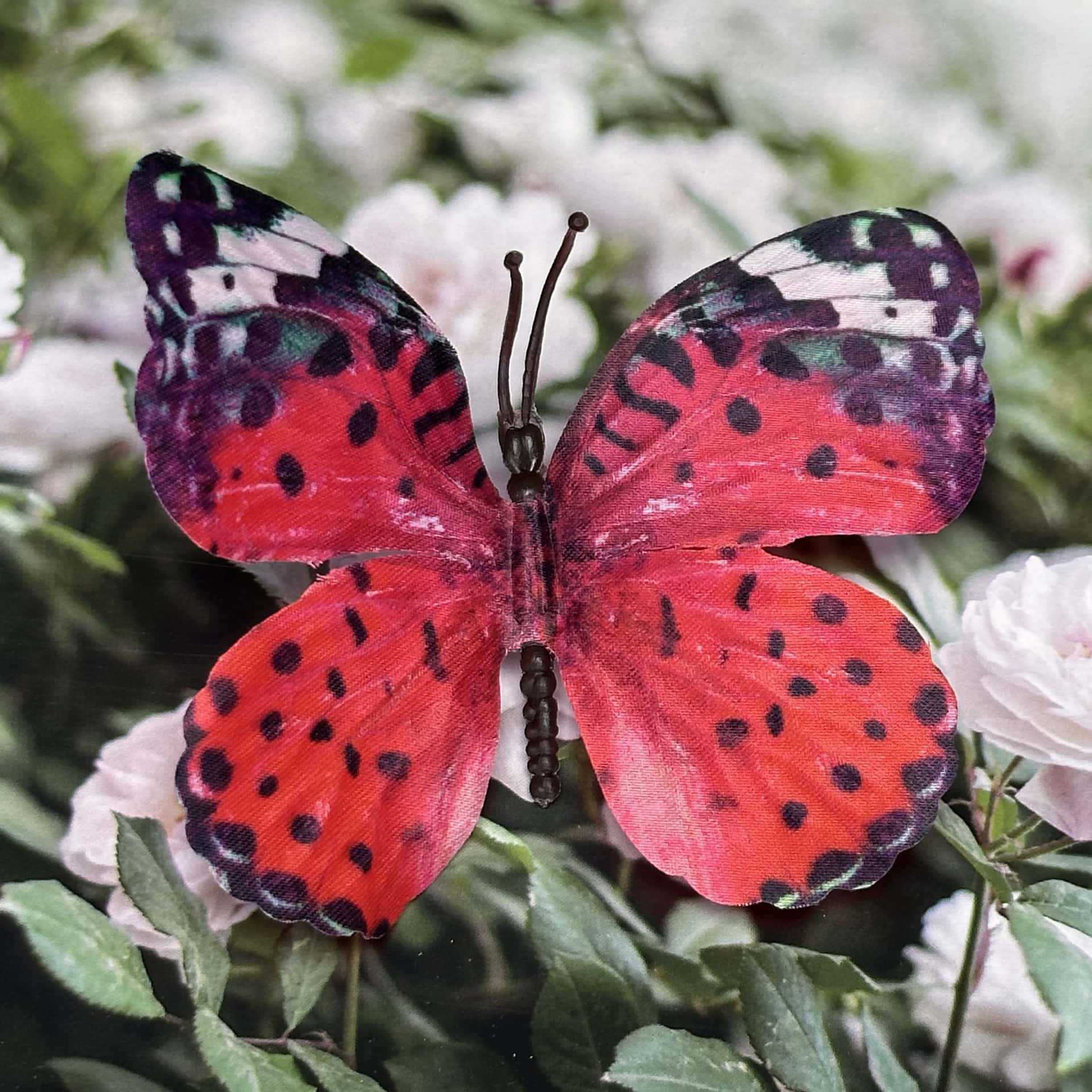 Seda 11CM color mariposa talla grande 17