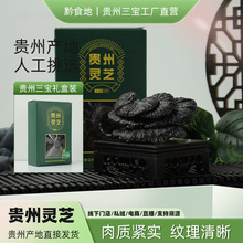 �F���خa���`֥�����Ұ����ժ�����`֥������٬F؛�Y�а��b���l