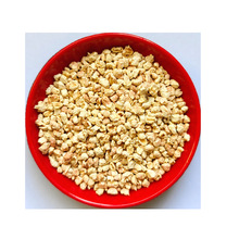 ����о�w�� �������� ����о�� �������������о�w��