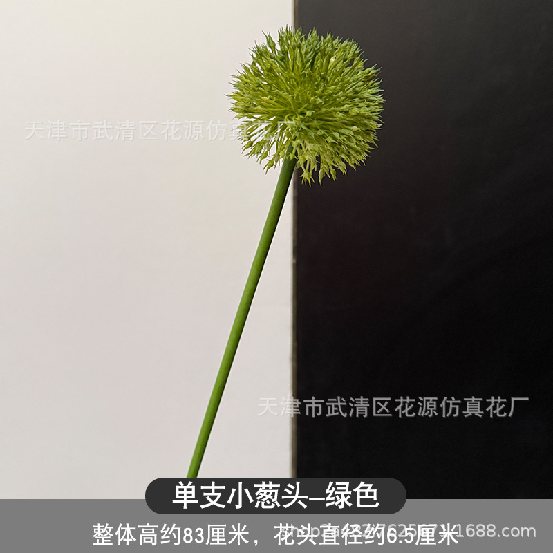 낱개 파 – 녹색