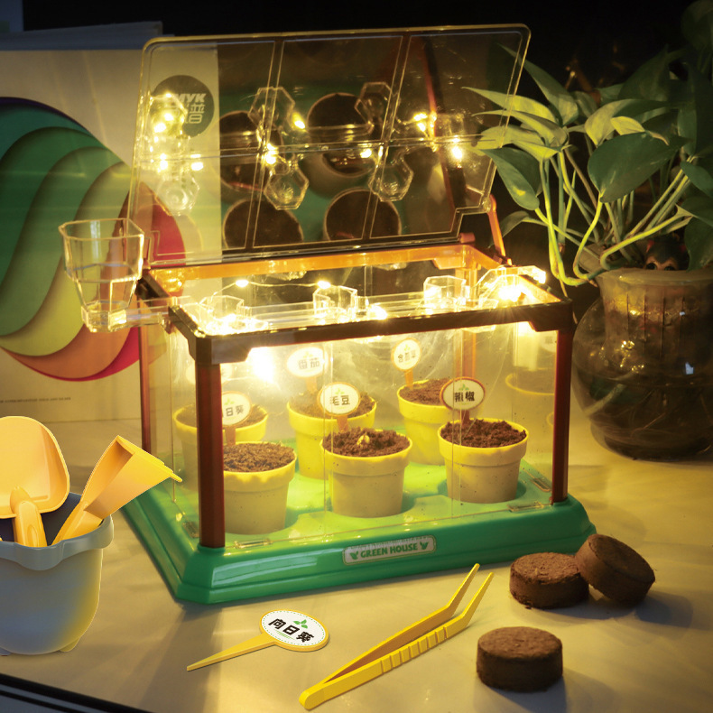 Children's Planting Greenhouse Mini Sun Room Creative Plants Handmade DIY Material Science Experiment Observation and Learning