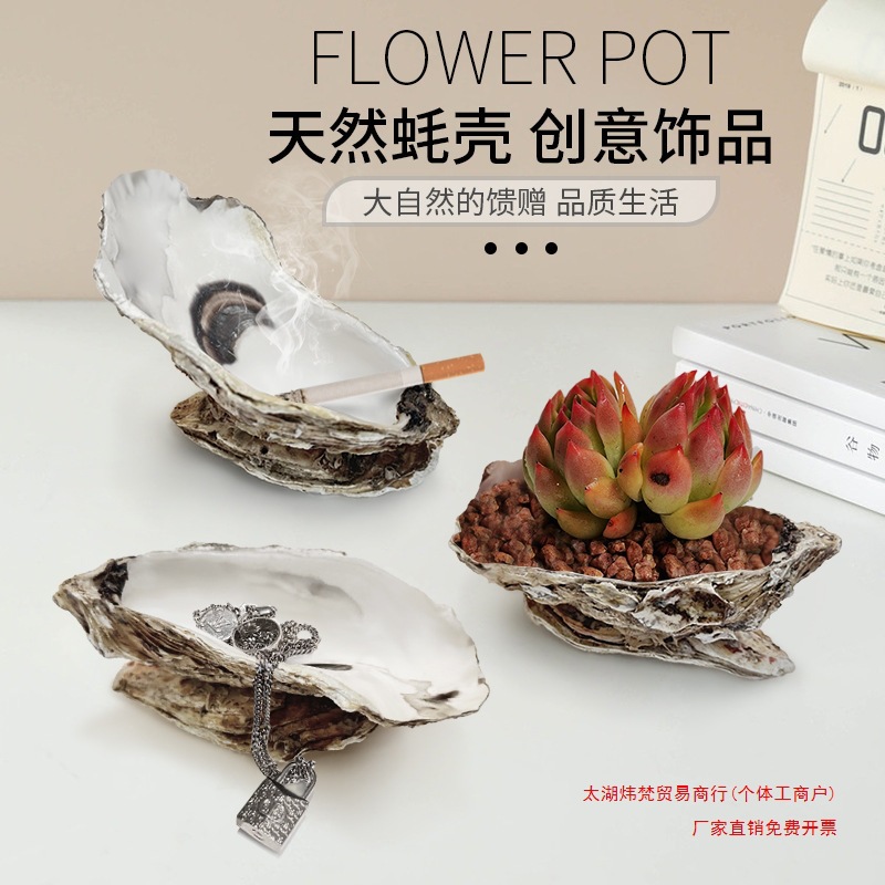 生蚝壳贝壳置物盒室内小盘栽盘烟灰缸首饰盒收纳储物装饰摆件其他