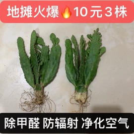 发夹;家务手套;运动休闲棉袜