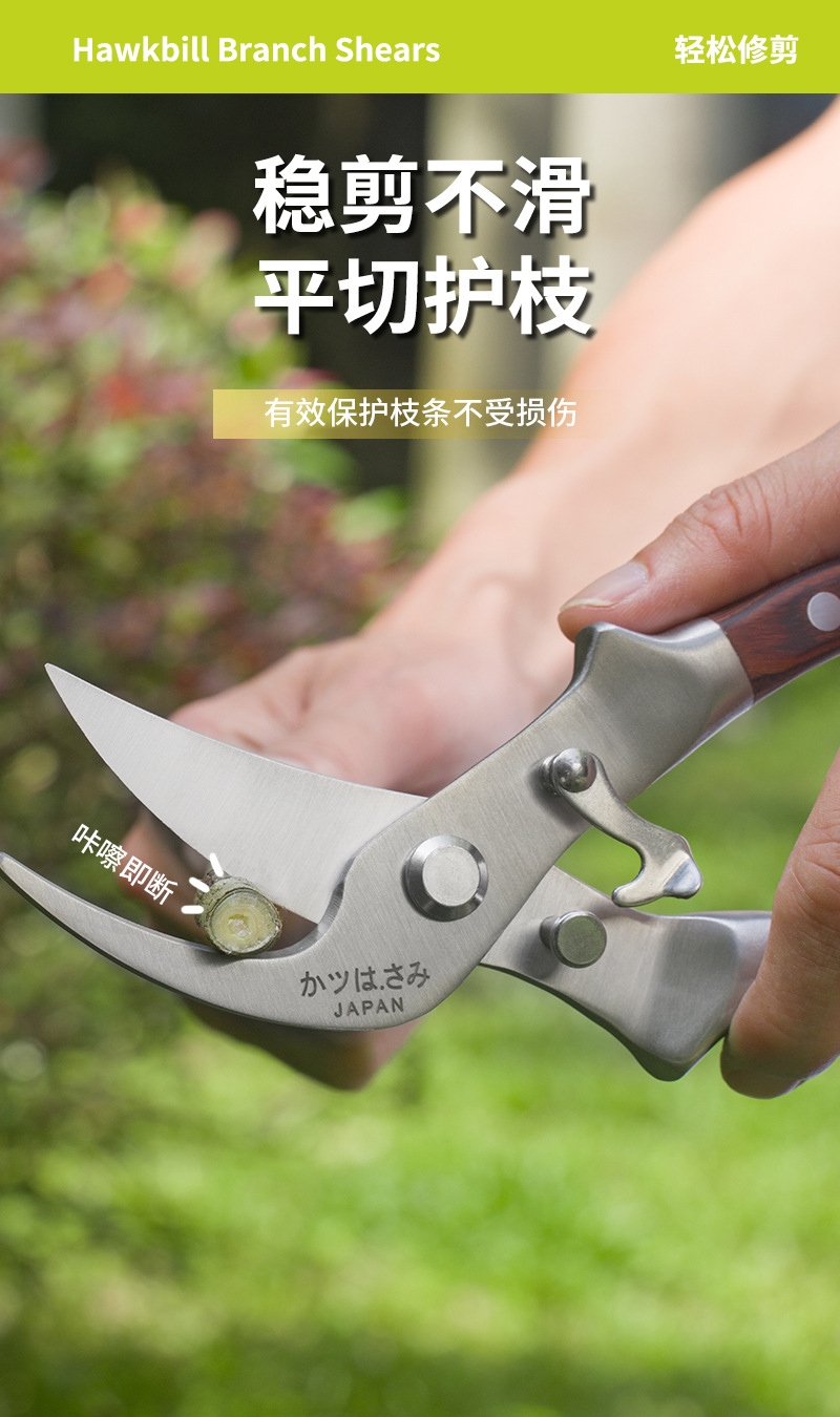 详情_10.jpg