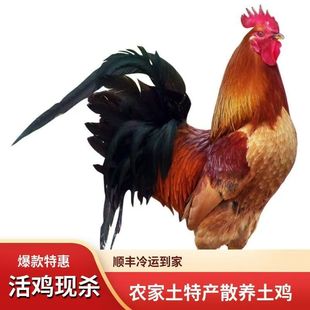 ɢ�B�S�_���u5��6��7��8��9��13��15���Ϲ��u���r�F�����Ϲ��u