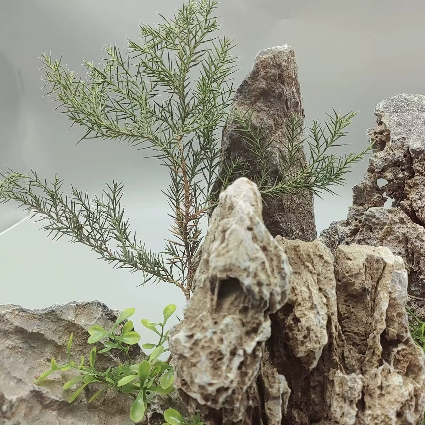 Производители поставляют Зеленый Камень дракона черно-белую линию Двор Сад Аквариум скалистый пейзаж все виды спецификаций завершены