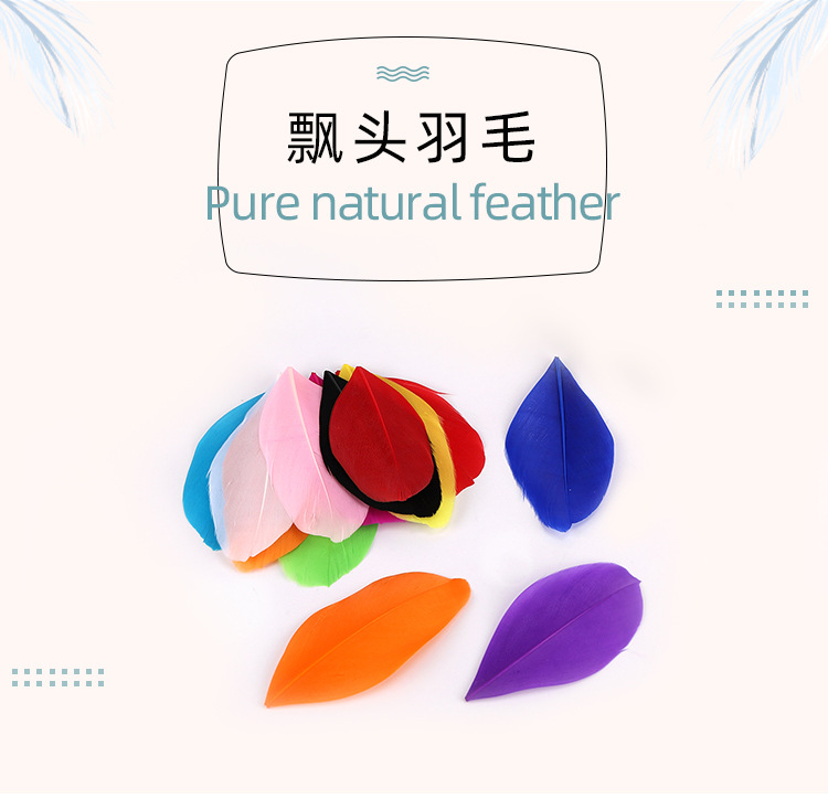宇祥飘头羽毛_01.jpg