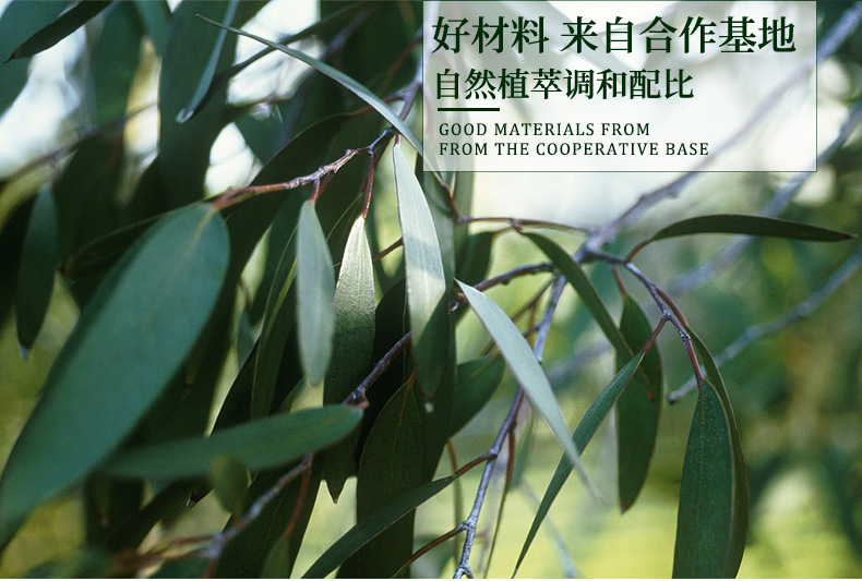 SC厂家食品级有机USDAl尤加利精油EucalyptusOi桉叶素80%蓝桉精油-阿里巴巴