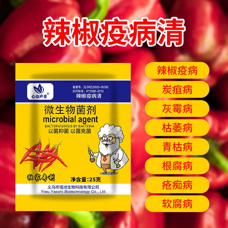Грибик для очистки перца чили, предотвращения и лечения антракноз, желтые листья, wilt, пепельное плесени, мягкие заболевания, составной микробный агент