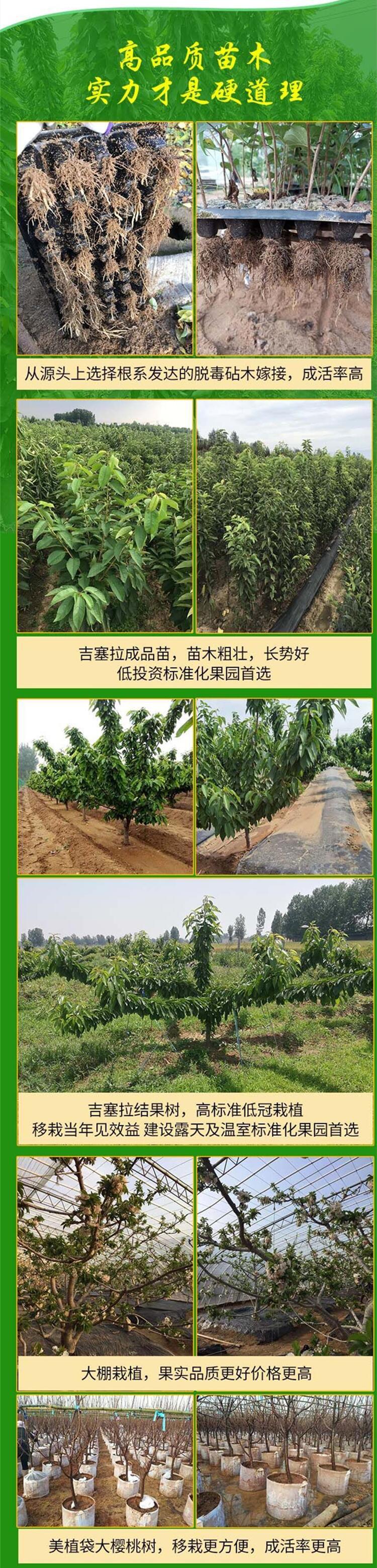 u=2227640667,1861464875&fm