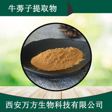 牛蒡子苷20% 牛蒡子提取物万方直销品质保证现货包邮供应牛蒡子甙