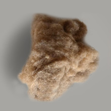 ��Ȼ��֧����që����z�⃞�|�q�޼���ԭ�Ϸ��b���������