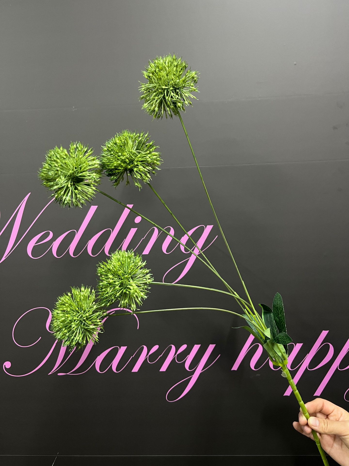 微信图片_20250116101247