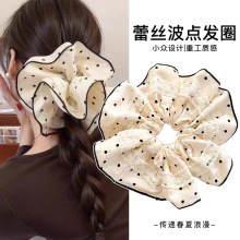 ���c�ٽz���cȦ����߼��е��Rβ�^��|�ٴ���lɭϵŮ���lȦ