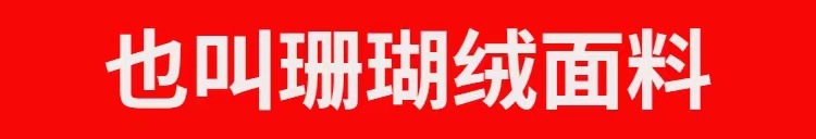 一键复制_20230919005334