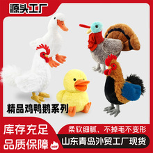 ���S���u�ɐ�����С�S��ë�q��߷����u���Zϵ��ë�q���ЬF؛���l
