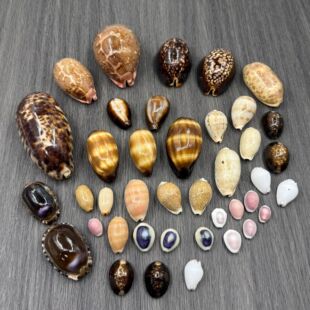 ������Ȼ����ؐ���ֹ���ˇƷ���l�ؔ����μo��Ʒdiy�����Ą���ˇ