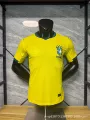 26 players brazil home