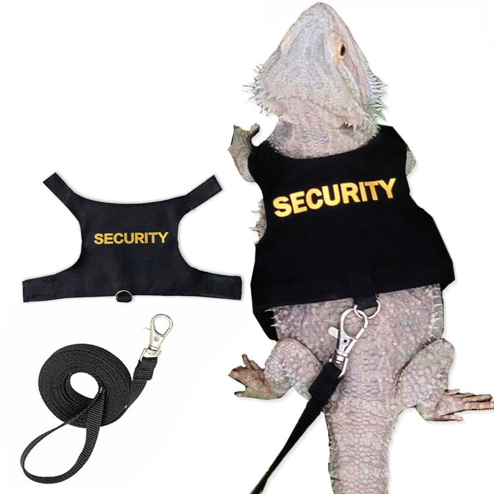 Хамелеон ящерица Хэллоуин смешные наряды одеваются