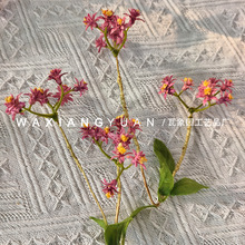 ���l���Ҿӿ͏d�b�ˇ��ֻ2�^С��ޱ��֧�[���Ӱ巿�����Ʒ��