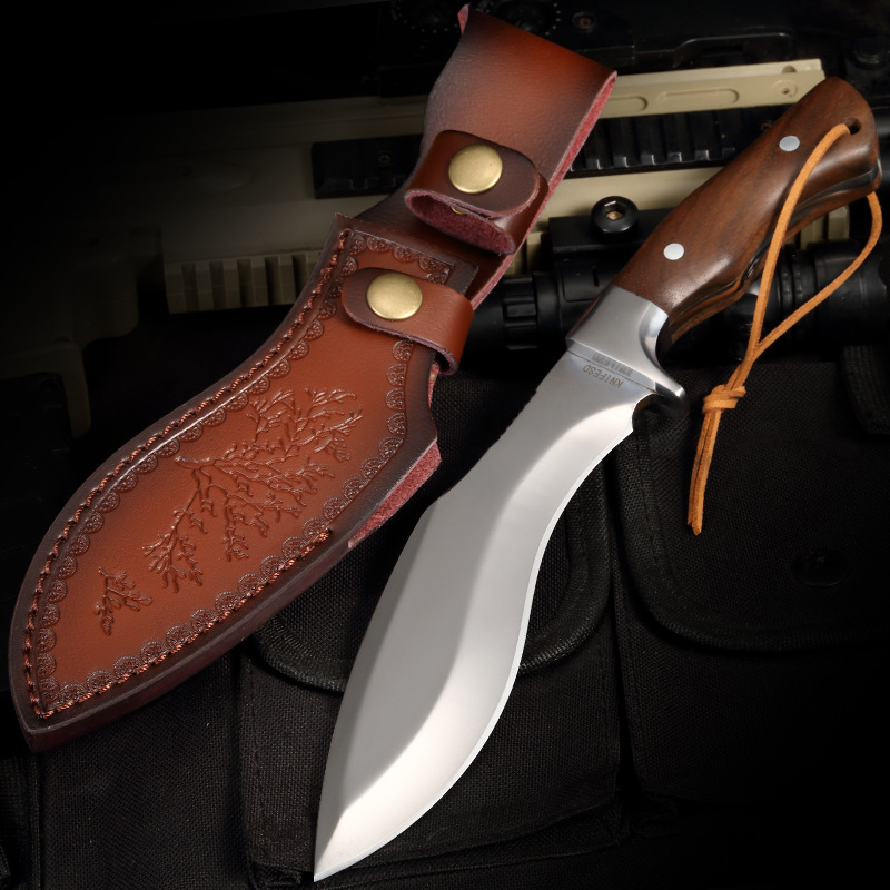 눈표범 개 다리