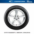 Wm Ice 600 – Vehicle tire