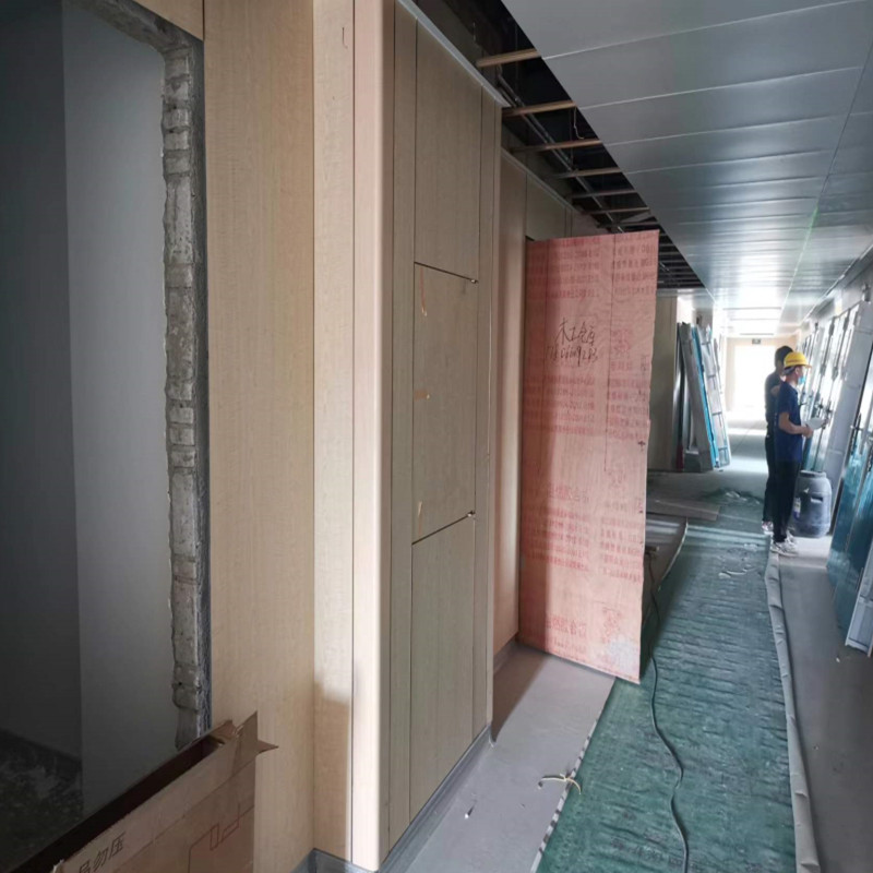 ǧ˼�忹���ظ�ѹװ�ν��������֬������ҽ��HPL���ڻ�ǽ��