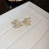 57#Silver Needle-Golden